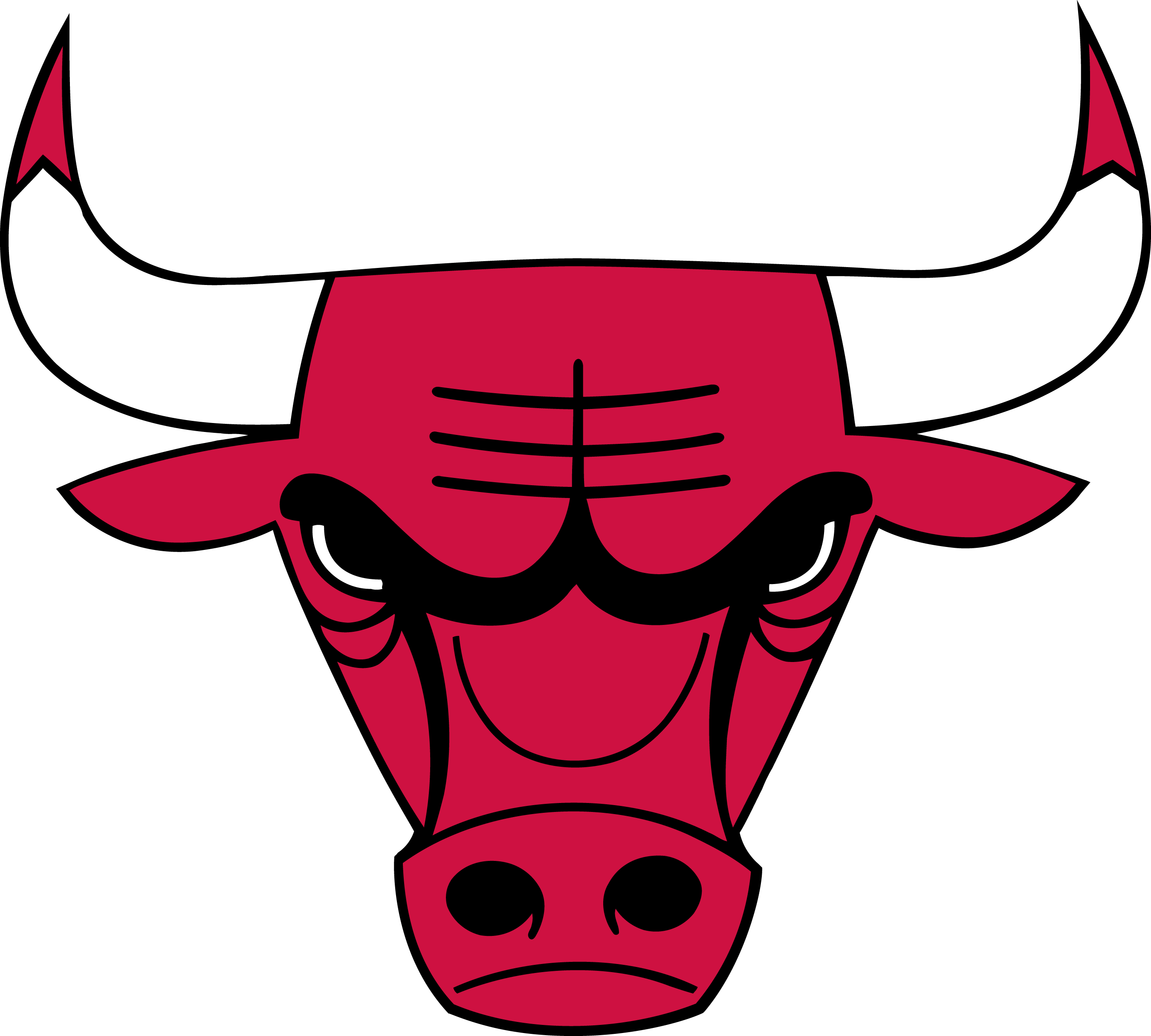 Chicago Bulls